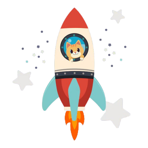 Rocket Cat